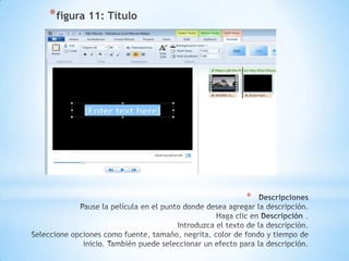 *
*figura 11: Título
 