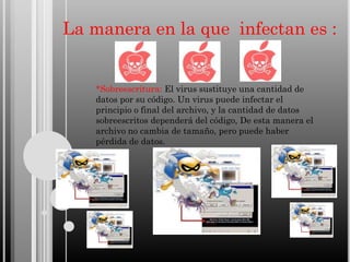 La manera en la que infectan es :

*Sobreescritura: El virus sustituye una cantidad de
datos por su código. Un virus puede infectar el
principio o final del archivo, y la cantidad de datos
sobreescritos dependerá del código, De esta manera el
archivo no cambia de tamaño, pero puede haber
pérdida de datos.

 