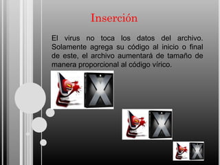 Inserción
El virus no toca los datos del archivo.
Solamente agrega su código al inicio o final
de este, el archivo aumentará de tamaño de
manera proporcional al código vírico.

 