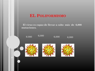 EL POLIFORMISMO
El virus es capaz de llevar a cabo más de 6,000
mutaciones.

6.000

6,000

6,000

6,000

 