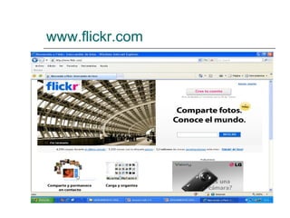 www.flickr.com   