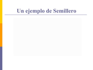 Un ejemplo de Semillero
 