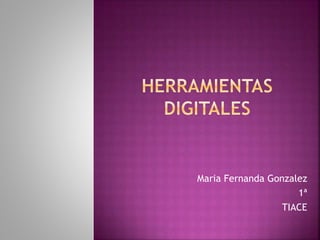 Maria Fernanda Gonzalez
1ª
TIACE
 