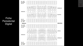 Text
Text
Text Text
Text
Text Text
Text
Text Text
Text
Text Text
Text
Text
Text
Text
Text Text
Text
Text Text
Text
Text Text
Text
Text Text
Text
Text
Text
Text
Text Text
Text
Text Text
Text
Text Text
Text
Text Text
Text
Text
Text
Text
Text Text
Text
Text Text
Text
Text Text
Text
Text Text
Text
Text
Text
Text
Text Text
Text
Text Text
Text
Text Text
Text
Text Text
Text
Text
Text
Text
Text Text
Text
Text Text
Text
Text Text
Text
Text Text
Text
Text
Text
Text
Text Text
Text
Text Text
Text
Text Text
Text
Text Text
Text
Text
Text
Text
Text Text
Text
Text Text
Text
Text Text
Text
Text Text
Text
Text
Text
Text
Text Text
111
Text Text
Text
Text Text
Text
Text Text
Text
Text
Text
Text
Text
Text
Text
Text Text
Text
Text Text
Text
Text Text
Text
Text Text
Text
Text
Text
Text
Text
Text
Text
Text Text
Text
Text Text
Text
Text Text
Text
Text Text
Text
Text
Text
Text
Text
Text
Text
Text Text
Text
Text Text
Text
Text Text
Text
Text Text
Text
Text
Text
Text
Text
Ficha
Periodontal
Digital
 