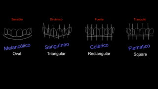 Oval Triangular
Sensible Dinámico
Rectangular Square
Fuerte Tranquilo
 