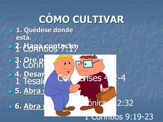 CÓMO CULTIVAR
 1. Quédese donde
está.
 2. Haga contacto.
 3. Ore por sus contactos
 4. Desarrolle el contacto.
 5. Abra sus ojos
 6. Abra sus brazos
1 Corintios 7:17
1 Corintios 5:9-10
1 Tesalonicenses 1:5Colosenses 4:2-4
1 Crónicas 12:32
1 Corintios 9:19-23
 