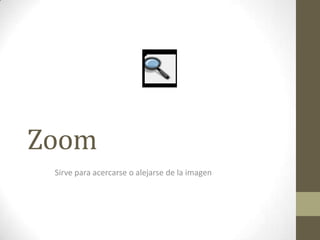 Zoom
Sirve para acercarse o alejarse de la imagen
 