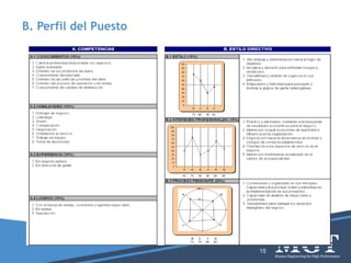 B. Perfil del Puesto
15
 