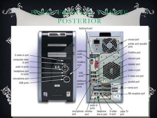 Parte Frontal y Parte posterior