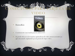 Conectores para TARJETA de VIDEO
