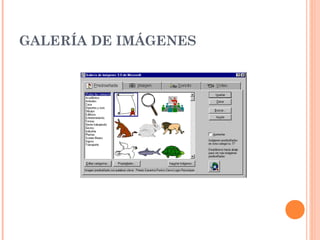 GALERÍA DE IMÁGENES

 