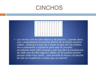 CINCHOS 
 