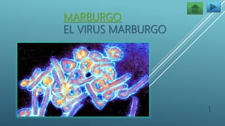 MARBURGO
EL VIRUS MARBURGO
1
 
