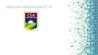 Julio Cesar Castillo Escobar N°10
 