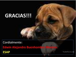 GRACIAS!!!



Cordialmente:
Edwin Alejandro Buenhombre Moreno.
ESAP
 