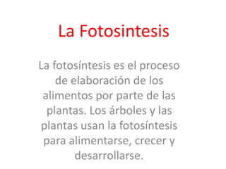 La Fotosintesis 
La fotosíntesis es el proceso 
de elaboración de los 
alimentos por parte de las 
plantas. Los árboles y las 
plantas usan la fotosíntesis 
para alimentarse, crecer y 
desarrollarse. 
 