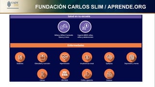 FUNDACIÓN CARLOS SLIM / APRENDE.ORG
 