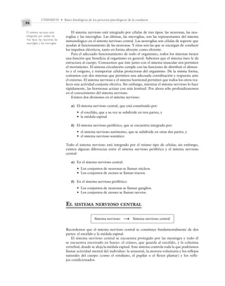 UNIDAD II • Bases fisiológicas de los procesos psicológicos de la conducta
84
El sistema nervioso está integrado por células de tres tipos: las neuronas, las neu-
roglias y las microglias. Las últimas, las microglias, son las representantes del sistema
inmunológico en el sistema nervioso central. Las neuroglias son células de soporte que
ayudan al funcionamiento de las neuronas. Y éstas son las que se encargan de conducir
los impulsos eléctricos, tanto en forma aferente como eferente.
Para el adecuado funcionamiento de todo el organismo, todos los sistemas tienen
una función que beneficia al organismo en general. Sabemos que el sistema óseo le da
estructura al cuerpo. Conocemos que éste junto con el sistema muscular nos permiten
el movimiento. El sistema circulatorio cumple con las funciones de distribuir el alimen-
to y el oxígeno, y transportar células protectoras del organismo. De la misma forma,
contamos con dos sistemas que permiten una adecuada coordinación y respuesta ante
el entorno. El sistema nervioso y el sistema hormonal permiten que todos los otros rea-
licen una actividad conjunta efectiva. Sin embargo, mientras el sistema nervioso lo hace
rápidamente, las hormonas actúan con más lentitud. Por ahora sólo profundizaremos
en el conocimiento del sistema nervioso.
Existen dos divisiones en el sistema nervioso:
a) El sistema nervioso central, que está constituido por:
• el encéfalo, que a su vez se subdivide en tres partes, y
• la médula espinal
b) El sistema nervioso periférico, que se encuentra integrado por:
• el sistema nervioso autónomo, que se subdivide en otras dos partes, y
• el sistema nervioso somático
Todo el sistema nervioso está integrado por el mismo tipo de células; sin embargo,
existen algunas diferencias entre el sistema nervioso periférico y el sistema nervioso
central:
a) En el sistema nervioso central:
• Los conjuntos de neuronas se llaman núcleos.
• Los conjuntos de axones se llaman tractos.
b) En el sistema nervioso periférico:
• Los conjuntos de neuronas se llaman ganglios.
• Los conjuntos de axones se llaman nervios.
EL SISTEMA NERVIOSO CENTRAL
Sistema nervioso S Sistema nervioso central
Recordemos que el sistema nervioso central se constituye fundamentalmente de dos
partes: el encéfalo y la médula espinal.
El sistema nervioso central se encuentra protegido por las meninges y todo él
se encuentra encerrado en hueso: el cráneo, que guarda al encéfalo, y la columna
vertebral, donde se aloja la médula espinal. Este sistema controla toda la que podríamos
llamar actividad mental del individuo: la sensorial, la motora voluntaria y los reflejos
naturales del cuerpo (como el rotuliano, el pupilar o el flexor plantar) y los refle-
jos condicionados.
El sistema nervioso está
integrado por células de
tres tipos: las neuronas, las
neuroglias y las microglias.
 