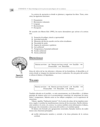 UNIDAD II • Bases fisiológicas de los procesos psicológicos de la conducta
88
La corteza de asociación es donde se plantean y organizan las ideas. Tiene, entre
otras, las siguientes funciones:
• Pensamiento
• Movimiento voluntario
• Lenguaje
• Razonamiento
• Percepción
De acuerdo con Moore-Ede (1993), los nueve detonadores que activan a la corteza
son:
1. Sensación de peligro, interés u oportunidad
2. Actividad muscular
3. Momento del día de acuerdo con los ciclos circadianos
4. Necesidad de sueño
5. Ingesta de nutrientes y químicos
6. Luz ambiental
7. Temperatura y humedad ambiental
8. Sonido ambiental
9. Aroma ambiental
DIENCÉFALO
Sistema nervioso S Sistema nervioso central S Encéfalo S
Prosencéfalo S Diencéfalo
Zona de relevo de las vías aferentes y eferentes de los hemisferios, el diencéfalo es el
centro donde se integran los sistemas nervioso y endocrino. En esta parte del cerebro
se ubican el tálamo y el hipotálamo.
TÁLAMO
Sistema nervioso S Sistema nervioso Ccntral S Encéfalo S
Prosencéfalo S Diencéfalo S Tálamo
También ubicado en el encéfalo —o más concretamente, en el diencéfalo—, el tálamo
participa de manera activa en el reconocimiento consciente de sensaciones de tacto,
dolor y temperatura. Además actúa en los reflejos complejos y en la experiencia de
emociones.
Tálamo significa “habitación interior”. Es el centro de enlace de los impulsos sensi-
tivos, regula y coordina las manifestaciones externas de las emociones. Recibe informa-
ción sensitiva y la envía a la corteza. La corteza también envía información al tálamo,
misma que éste retransmite a otras áreas del cerebro y a la médula espinal.
El tálamo está formado por agrupaciones neuronales, llamadas núcleos, las cuales
tienen cinco funciones principales:
a) recibir información sensitiva y enviarla a las áreas primarias de la corteza
cerebral,
Figura 6.3
Diencéfalo.
 