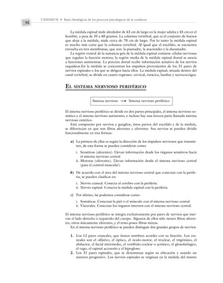 UNIDAD II • Bases fisiológicas de los procesos psicológicos de la conducta
92
La médula espinal mide alrededor de 43 cm de largo en la mujer adulta y 45 cm en el
hombre, y pesa de 35 a 40 gramos. La columna vertebral, que es el conjunto de huesos
que aloja a la médula, mide cerca de 70 cm de largo. Por lo tanto la médula espinal
es mucho más corta que la columna vertebral. Al igual que el encéfalo, se encuentra
envuelta en tres membranas, que son: la piamadre, la aracnoides y la duramadre.
La región ventral de la sustancia gris de la médula espinal contiene células nerviosas
que regulan la función motora; la región media de la médula espinal dorsal se asocia
a funciones autónomas. La porción dorsal recibe información sensitiva de los nervios
raquídeos.En la médula se concentran los impulsos provenientes de los 31 pares de
nervios espinales o los que se dirigen hacia ellos. La médula espinal, situada dentro del
canal vertebral, se divide en cuatro regiones: cervical, torácica, lumbar y sacrococcígea.
EL SISTEMA NERVIOSO PERIFÉRICO
Sistema nervioso S Sistema nervioso periférico
El sistema nervioso periférico se divide en dos partes principales, el sistema nervioso so-
mático y el sistema nervioso autónomo, e incluso hay una tercera parte llamada sistema
nervioso entérico.
Está compuesto por nervios y ganglios, éstos parten del encéfalo y de la médula,
se diferencian en que son fibras aferentes y eferentes. Sus nervios se pueden dividir
funcionalmente en tres formas:
a) La primera de ellas es según la dirección de los impulsos nerviosos que transmi-
ten, de esta forma se pueden considerar como:
i. Sensitivas (aferentes). Llevan información desde los órganos sensitivos hacia
el sistema nervioso central.
ii. Motoras (eferentes). Llevan información desde el sistema nervioso central
(para el control muscular).
b) De acuerdo con el área del sistema nervioso central que conectan con la perife-
ria, se pueden clasificar en:
i. Nervio craneal. Conecta el cerebro con la periferia.
ii. Nervio espinal. Conecta la médula espinal con la periferia.
c) Por último, las podemos considerar como:
i. Somáticas. Conectan la piel o el músculo con el sistema nervioso central
ii. Viscerales. Conectan los órganos internos con el sistema nervioso central.
El sistema nervioso periférico se integra exclusivamente por pares de nervios que iner-
van el lado derecho o izquierdo del cuerpo. Algunos de ellos sólo tienen fibras aferen-
tes, otros únicamente eferentes, y el resto posee fibras mixtas.
En el sistema nervioso periférico se pueden distinguir dos grandes grupos de nervios:
1. Los 12 pares craneales, que tienen nombres acordes con su función. Los cra-
neales son el olfativo, el óptico, el óculo-motor, el troclear, el trigémino, el
abductor, el facial intermedio, el vestíbulo-coclear o acústico, el glosofaríngeo,
el vago, el espinal accesorio y el hipogloso.
2. Los 31 pares espinales, que se denominan según su ubicación y usando un
número progresivo. Los nervios espinales se originan en la médula del mismo
 
