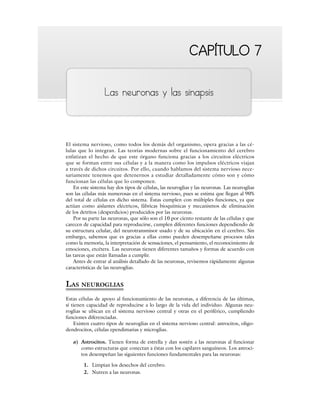 CAPÍTULO 7
CAPÍTULO 7
Las neuronas y las sinapsis
El sistema nervioso, como todos los demás del organismo, opera gracias a las cé-
lulas que lo integran. Las teorías modernas sobre el funcionamiento del cerebro
enfatizan el hecho de que este órgano funciona gracias a los circuitos eléctricos
que se forman entre sus células y a la manera como los impulsos eléctricos viajan
a través de dichos circuitos. Por ello, cuando hablamos del sistema nervioso nece-
sariamente tenemos que detenernos a estudiar detalladamente cómo son y cómo
funcionan las células que lo componen.
En este sistema hay dos tipos de células, las neuroglias y las neuronas. Las neuroglias
son las células más numerosas en el sistema nervioso, pues se estima que llegan al 90%
del total de células en dicho sistema. Éstas cumplen con múltiples funciones, ya que
actúan como aislantes eléctricos, fábricas bioquímicas y mecanismos de eliminación
de los detritos (desperdicios) producidos por las neuronas.
Por su parte las neuronas, que sólo son el 10 por ciento restante de las células y que
carecen de capacidad para reproducirse, cumplen diferentes funciones dependiendo de
su estructura celular, del neurotransmisor usado y de su ubicación en el cerebro. Sin
embargo, sabemos que es gracias a ellas como pueden desempeñarse procesos tales
como la memoria, la interpretación de sensaciones, el pensamiento, el reconocimiento de
emociones, etcétera. Las neuronas tienen diferentes tamaños y formas de acuerdo con
las tareas que están llamadas a cumplir.
Antes de entrar al análisis detallado de las neuronas, revisemos rápidamente algunas
características de las neuroglias.
LAS NEUROGLIAS
Estas células de apoyo al funcionamiento de las neuronas, a diferencia de las últimas,
sí tienen capacidad de reproducirse a lo largo de la vida del individuo. Algunas neu-
roglias se ubican en el sistema nervioso central y otras en el periférico, cumpliendo
funciones diferenciadas.
Existen cuatro tipos de neuroglias en el sistema nervioso central: astrocitos, oligo-
dendrocitos, células ependimarias y microglias.
a) Astrocitos. Tienen forma de estrella y dan sostén a las neuronas al funcionar
como estructuras que conectan a éstas con los capilares sanguíneos. Los astroci-
tos desempeñan las siguientes funciones fundamentales para las neuronas:
1. Limpian los desechos del cerebro.
2. Nutren a las neuronas.
 