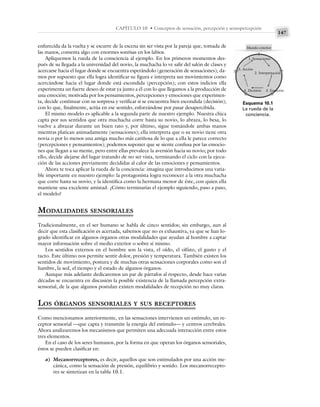 147
CAPÍTULO 10 • Conceptos de sensación, percepción y sensopercepción
enfurecida da la vuelta y se escurre de la escena sin ser vista por la pareja que, tomada de
las manos, comenta algo con enormes sonrisas en los labios.
Apliquemos la rueda de la consciencia al ejemplo. En los primeros momentos des-
pués de su llegada a la universidad del novio, la muchacha lo ve salir del salón de clases y
acercarse hacia el lugar donde se encuentra esperándolo (generación de sensaciones); da-
mos por supuesto que ella logra identificar su figura e interpreta sus movimientos como
acercándose hacia el lugar donde está escondida (percepción); con estos indicios ella
experimenta un fuerte deseo de estar ya junto a él con lo que llegamos a la producción de
una emoción; motivada por los pensamientos, percepciones y emociones que experimen-
ta, decide continuar con su sorpresa y verificar si se encuentra bien escondida (decisión);
con lo que, finalmente, actúa en ese sentido, esforzándose por pasar desapercibida.
El mismo modelo es aplicable a la segunda parte de nuestro ejemplo. Nuestra chica
capta por sus sentidos que otra muchacha corre hasta su novio, lo abraza, lo besa, lo
vuelve a abrazar durante un buen rato y, por último, sigue tomándole ambas manos
mientras platican animadamente (sensaciones); ella interpreta que o su novio tiene otra
novia o por lo menos una amiga mucho más cariñosa de lo que a ella le parece correcto
(percepciones y pensamientos); podemos suponer que se siente confusa por las emocio-
nes que llegan a su mente, pero entre ellas prevalece la aversión hacia su novio; por todo
ello, decide alejarse del lugar tratando de no ser vista, terminando el ciclo con la ejecu-
ción de las acciones previamente decididas al calor de las emociones y pensamientos.
Ahora te toca aplicar la rueda de la conciencia: imagina que introducimos una varia-
ble importante en nuestro ejemplo: la protagonista logra reconocer a la otra muchacha
que corre hasta su novio, y la identifica como la hermana menor de éste, con quien ella
mantiene una excelente amistad. ¿Cómo terminarías el ejemplo siguiendo, paso a paso,
el modelo?
MODALIDADES SENSORIALES
Tradicionalmente, en el ser humano se habla de cinco sentidos; sin embargo, aun al
decir que esta clasificación es acertada, sabemos que no es exhaustiva, ya que se han lo-
grado identificar en algunos órganos otras modalidades que ayudan al hombre a captar
mayor información sobre el medio exterior o sobre sí mismo.
Los sentidos externos en el hombre son la vista, el oído, el olfato, el gusto y el
tacto. Este último nos permite sentir dolor, presión y temperatura. También existen los
sentidos de movimiento, postura y de muchas otras sensaciones corporales como son el
hambre, la sed, el tiempo y el estado de algunos órganos.
Aunque más adelante dedicaremos un par de párrafos al respecto, desde hace varias
décadas se encuentra en discusión la posible existencia de la llamada percepción extra-
sensorial, de la que algunos postulan existen modalidades de recepción no muy claras.
LOS ÓRGANOS SENSORIALES Y SUS RECEPTORES
Como mencionamos anteriormente, en las sensaciones intervienen un estímulo, un re-
ceptor sensorial —que capta y transmite la energía del estímulo— y centros cerebrales.
Ahora analizaremos los mecanismos que permiten una adecuada interacción entre estos
tres elementos.
En el caso de los seres humanos, por la forma en que operan los órganos sensoriales,
éstos se pueden clasificar en:
a) Mecanorreceptores, es decir, aquellos que son estimulados por una acción me-
cánica, como la sensación de presión, equilibrio y sonido. Los mecanorrecepto-
res se sintetizan en la tabla 10.1.
Esquema 10.1
La rueda de la
conciencia.
Mundo exterior
1. Sensaciones
5. Acción
2. Interpretación
4. Decisión 3. Emoción
 