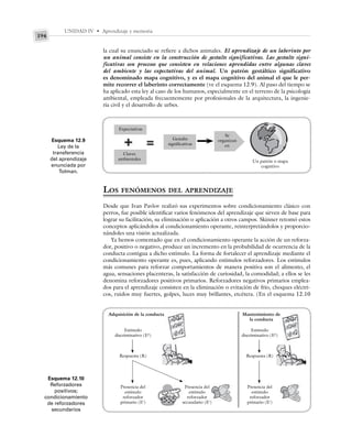 UNIDAD IV • Aprendizaje y memoria
194
la cual su enunciado se refiere a dichos animales. El aprendizaje de un laberinto por
un animal consiste en la construcción de gestalts significativas. Las gestalts signi-
ficativas son procesos que consisten en relaciones aprendidas entre algunas claves
del ambiente y las expectativas del animal. Un patrón gestáltico significativo
es denominado mapa cognitivo, y es el mapa cognitivo del animal el que le per-
mite recorrer el laberinto correctamente (ve el esquema 12.9). Al paso del tiempo se
ha aplicado esta ley al caso de los humanos, especialmente en el terreno de la psicología
ambiental, empleada frecuentemente por profesionales de la arquitectura, la ingenie-
ría civil y el desarrollo de urbes.
Esquema 12.9
Ley de la
transferencia
del aprendizaje
enunciada por
Tolman.
Gestalts
significativas
Se
organizan
en
Un patrón o mapa
cognitivo
Expectativas
Claves
ambientales
LOS FENÓMENOS DEL APRENDIZAJE
Desde que Ivan Pavlov realizó sus experimentos sobre condicionamiento clásico con
perros, fue posible identificar varios fenómenos del aprendizaje que sirven de base para
lograr su facilitación, su eliminación o aplicación a otros campos. Skinner retomó estos
conceptos aplicándolos al condicionamiento operante, reinterpretándolos y proporcio-
nándoles una visión actualizada.
Ya hemos comentado que en el condicionamiento operante la acción de un reforza-
dor, positivo o negativo, produce un incremento en la probabilidad de ocurrencia de la
conducta contigua a dicho estímulo. La forma de fortalecer el aprendizaje mediante el
condicionamiento operante es, pues, aplicando estímulos reforzadores. Los estímulos
más comunes para reforzar comportamientos de manera positiva son el alimento, el
agua, sensaciones placenteras, la satisfacción de curiosidad, la comodidad; a ellos se les
denomina reforzadores positivos primarios. Reforzadores negativos primarios emplea-
dos para el aprendizaje consisten en la eliminación o evitación de frío, choques eléctri-
cos, ruidos muy fuertes, golpes, luces muy brillantes, etcétera. (En el esquema 12.10
Esquema 12.10
Reforzadores
positivos;
condicionamiento
de reforzadores
secundarios
Adquisición de la conducta
Estímulo
discriminativo (Ed
)
Respuesta (R)
Presencia del
estímulo
reforzador
primario (Er
)
Presencia del
estímulo
reforzador
secundario (Er
)
Mantenimiento de
la conducta
Estímulo
discriminativo (Ed
)
Respuesta (R)
Presencia del
estímulo
reforzador
primario (Er
)
 