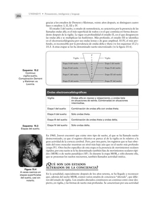 UNIDAD V • Pensamiento, inteligencia y lenguaje
254
gracias a los estudios de Dement y Kleitman, veinte años después, se distinguen cuatro
fases o estadios: I, II, III y IV.
El estadio I del sueño, o estado de somnolencia, se caracteriza por la presencia de las
llamadas ondas alfa; es el más superficial de todos y es el que continúa en forma descen-
dente después de la vigilia. Le sigue en profundidad el estadio II, en el que desaparecen
las ondas alfa y se multiplican las fusiformes. Más profundo, el estadio III se identifica
en el electroencefalograma por sus ondas lentas y de gran amplitud. El IV, el más pro-
fundo, es reconocible por la prevalencia de ondas delta y theta (ve los esquemas 15.2 y
15.3. A estas etapas se les ha denominado sueño sincronizado (ve la figura 15.4).
Esquema 15.2
Continuo
vigilia-sueño.
Comparación Dement
y Kleitman vs.
Loomis.
Esquema 15.3
Etapas del sueño.
Figura 15.4
A veces caemos en
etapas superficiales
del sueño, casi sin
notarlo.
Vigilia
Etapa I del sueño
Etapa II del sueño
Etapa III del sueño
Etapa IV del sueño
P
r
o
f
u
n
d
i
d
a
d
Vigilia
Etapa A del sueño
Etapa B del sueño
Etapa C del sueño
Etapa D del sueño
Ondas electroencefalográficas
Vigilia
Etapa I del sueño
Etapa II del sueño
Etapa III del sueño
Etapa IV del sueño
Ondas alfa en reposo y relajamiento, y ondas beta
en situaciones de estrés. Combinadas en situaciones
intermedias.
Combinación de ondas alfa con ondas theta.
Sólo ondas theta.
Combinación de ondas theta y ondas delta.
Sólo ondas delta.
En 1965, Jouvet encontró que existe otro tipo de sueño, al que se ha llamado sueño
desincronizado, ya que el registro eléctrico se parece al de la vigilia en lo relativo a la
gran actividad de la corteza cerebral. Pero, por otra parte, los registros que se han obte-
nido del tono muscular muestran un nivel más bajo aún que en el sueño más profundo
(etapa IV). Otro hecho específico de esta etapa es la presencia de movimientos oculares
rápidos; por esta razón se le ha denominado también fase de movimientos oculares rápi-
dos (MOR) o de sueño paradójico (SP). Es durante la etapa MOR, y sólo durante ella,
que se presentan los sueños nocturnos, también llamados actividad onírica.
¿QUÉ SON LOS ESTADOS
ALTERADOS DE LA CONCIENCIA?
En la actualidad, especialmente después de los años setenta, se ha llegado a reconocer
que, además del sueño MOR, existen varios estados de conciencia “alterada”, que difie-
ren del estado de vigilia. Los estados alterados constituyen un continuo entre estar des-
pierto, en vigilia, y las formas de sueño más profundas. Se caracterizan por una actividad
 