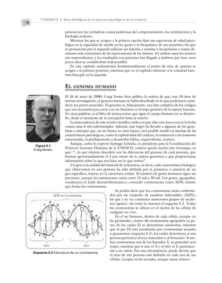 UNIDAD II • Bases fisiológicas de los procesos psicológicos de la conducta
70
persona son las verdaderas causas poderosas del comportamiento, los sentimientos y la
fisiología inclusive.
Mientras los que se acogen a la primera opción fijan sus esperanzas de salud psico-
lógica en la capacidad de incidir en los genes y la bioquímica de sus pacientes, los que
se pronuncian por la segunda enfocan sus baterías a enseñar a las personas a tomar de-
cisiones más conscientes de las repercusiones de las mismas. En ambos casos los avances
son sorprendentes, y los resultados con pacientes han llegado a ámbitos que hace unos
pocos años se consideraban inalcanzables.
En este capítulo analizaremos fundamentalmente el punto de vista de quienes se
acogen a la primera posición, mientras que en el capítulo referente a la voluntad hare-
mos hincapié en la segunda.
EL GENOMA HUMANO
El 26 de junio de 2000, Craig Venter hizo pública la noticia de que, tras 10 años de
intensa investigación, el genoma humano se había descifrado en lo que podríamos consi-
derar sus partes esenciales. El genoma es, básicamente, una lista completa de los códigos
que son necesarios para crear a un ser humano; es el mapa genético de la especie humana.
En otras palabras, es el libro de instrucciones que sigue el cuerpo humano en su desarro-
llo, desde el momento de la concepción hasta la muerte.
La trascendencia de este evento científico radica en que abre una nueva era en la lucha
contra unas 6 mil enfermedades. Además, este logro ha llevado a algunos de los gene-
tistas a anticipar que, en un futuro no muy lejano, será posible incidir en muchas de las
características psicológicas, como la explosividad del carácter, la resistencia a las tensiones
emocionales, la predisposición a desarrollar fobias, esquizofrenia, etcétera.
Aunque, como lo expresó Santiago Grisolía, ex presidente para la Coordinación del
Proyecto Genoma Humano de la UNESCO, todavía queda mucho por investigar, ya
que: “...lo que interesa descubrir son las diferencias del genoma de cada persona, que
forman aproximadamente el 2 por ciento de la cadena genómica y que proporcionan
información sobre lo que nos hace ser lo que somos”.
Un gen es la unidad del material de la herencia, es decir, cada característica biológica
que observamos en una persona ha sido definida por la presencia o ausencia de un
gen específico, inserto en la estructura celular. El número de genes humanos sigue sin
precisarse, aunque las estimaciones varían entre 15 mil y 30 mil. Los genes, agrupados,
constituyen el ácido desoxirribonucleico, conocido comúnmente como ADN, mismo
que forma los cromosomas.
Se podría decir que los cromosomas están conforma-
dos por un conjunto de escaleras helicoidales (ADN),
las que a su vez contienen numerosos grupos de escalo-
nes (genes), tal como lo muestra el esquema 5.2. Todos
los cromosomas se ubican en el núcleo de las células de
cualquier ser vivo.
En el ser humano, dentro de cada célula, excepto en
las germinales, existen 46 cromosomas agrupados en pa-
res, de los cuales 22 se denominan autosomas, mientras
que el par 23 está constituido por cromosomas sexuales
o gonosomas (esquema 5.3), los cuales determinan si una
persona pertenece al sexo masculino o al femenino. Si am-
bos cromosomas son de los llamados X, su poseedor será
mujer, mientras que si uno es X y el otro es Y, pertenece-
rán a un varón. Por esta circunstancia, puede decirse que
el sexo de una persona está definido en cada una de sus
células, excepto en las sexuales, aunque suene irónico.
Figura 5.1
Craig Venter.
ADN en el cromosoma
Gen Gen
Esquema 5.2 Estructura de un cromosoma.
 
