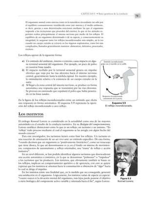 75
CAPÍTULO 5 • Bases genéticas de la conducta
El organismo animal como sistema existe en la naturaleza circundante tan sólo por
el equilibrio constantemente restablecido entre este sistema y el medio ambiente,
es decir, gracias a unas determinadas reacciones mediante las que el organismo
responde a las excitaciones que proceden del exterior, lo que en los animales su-
periores realiza principalmente el sistema nervioso por medio de los reflejos. El
equilibrio de un organismo determinado o de su especie, y consecuentemente su
integridad, lo aseguran tanto los reflejos incondicionados más simples, así la tos
cuando un cuerpo extraño se extravía en los órganos respiratorios, como los más
complicados, llamados generalmente instintos: alimenticio, defensivo, procreador,
etcétera.
Los reflejos operan de la siguiente forma:
a) Un estímulo del ambiente, interno o externo, causa impacto en algu-
na terminal sensorial del organismo. Por ejemplo, un poco de polvo
en nuestras fosas nasales.
b) El impacto recibido por la terminal sensorial genera un impulso
eléctrico que viaja por las vías aferentes hacia el sistema nervioso
central, generalmente hasta la médula espinal. En nuestro ejemplo,
la estimulación relativa a la existencia de un cuerpo extraño en la
nariz.
c) Al llegar a la zona central del sistema nervioso, se produce en forma
automática una respuesta que se transmitirá por las vías eferentes.
Se provoca un estornudo que expulsará el polvo que había penetra-
do en las fosas nasales.
En la figura de los reflejos incondicionados existe un estímulo que elicita
una respuesta en forma automática. El esquema 5.9 representa la opera-
ción del reflejo incondicionado o arco reflejo.
LOS INSTINTOS
El etólogo Konrad Lorenz es considerado en la actualidad como una de las mayores
autoridades en el estudio de la conducta instintiva. En su Biología del comportamiento,
Lorenz establece distinciones entre lo que es un reflejo, un tactismo y un instinto. “Es
‘reflejo’ todo proceso mediante el cual el organismo se las arregla con algún hecho del
mundo externo”.
Para este investigador, los tactismos tienen como base los reflejos. Un tactismo es
una reacción de orientación de un ser vivo ante un estímulo específico. De esta forma,
“cuando decimos que un organismo es ‘positivamente fototáctico’, como un renacuajo
que tiene disnea, lo que así denominamos es ya en el fondo un sistema de movimien-
tos, compuestos de automatismo y reflejo orientador, una ‘trama’ de reflejo y acción
instintiva”.
En un nivel diferente, se han podido identificar algunos tactismos que desencadenan
una acción automática o instintiva, en la que se denominan “pulsiones” o “impulsos”
a los tactismos que las producen. Los instintos, que obviamente también se basan en
los reflejos, implican un comportamiento apetitivo o de apetencia; con esto se quiere
expresar que los instintos se orientan hacia la consumación u obtención de “algo” hacia
lo cual se dirige el impulso.
En los instintos existe una finalidad que, en la medida que sea conseguida, generará
una satisfacción en el organismo. Lógicamente, los instintos varían de especie en especie:
“cuanto mayor es la elevación mental del organismo, más lejos puede ponerse el objetivo
o meta biológica del componente activo variable y orientada hacia el fin”, según Lorenz.
Esquema 5.9
El reflejo incondicionado.
Estímulo incondicionado:
golpe con el martillo en la rodilla
Organismo
Respuesta incondicionada:
estiramiento de la pierna
Figura 5.3
Konrad Lorenz.
 