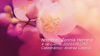 Nombre: Zonnia Herrera
# de cuenta:20201001257
Catedrático: Andrea Castillo
 