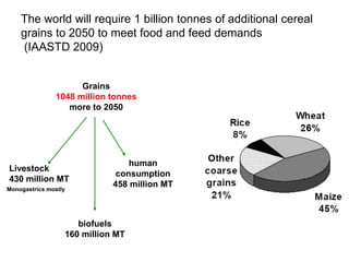 Livestock and greenhouse gas emissions: Mitigation options and trade-offs