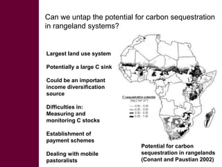 Livestock and greenhouse gas emissions: Mitigation options and trade-offs