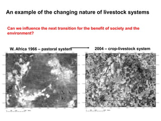 Livestock and greenhouse gas emissions: Mitigation options and trade-offs