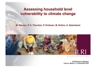 Assessing household level
    vulnerability to climate change

M. Herrero, P. K. Thornton, P. Ericksen, M. Rufino, A. Notenbaert




                                                           CCAFS Science Meeting
                                                Cancun, Mexico | 1-2 December 2010
 