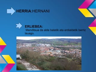 HERRIA:HERNANI
ERLIEBEA:
Menditsua da alde batetik eta erdialdetik berriz
lauago.
 