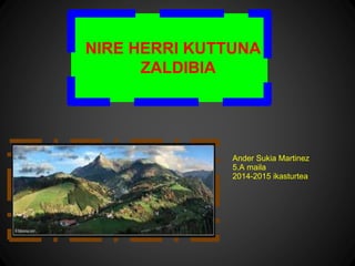 NIRE HERRI KUTTUNA
ZALDIBIA
Ander Sukia Martinez
5.A maila
2014-2015 ikasturtea
 