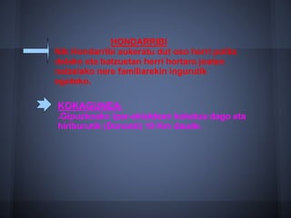 HONDARRIBI
Nik Hondarribi aukeratu dut oso herri polita
delako eta batzuetan herri hortara joaten
naizelako nere familiarekin ingurutik
egoteko.
KOKAGUNEA:
●Gipuzkoako ipar-ekialdean kokatua dago eta
hiriburutik (Donosti) 19 Km daude.
 