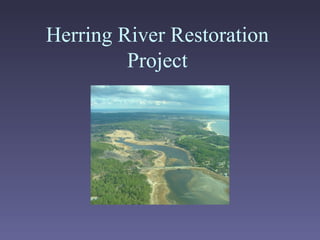 Herring River Restoration Project 