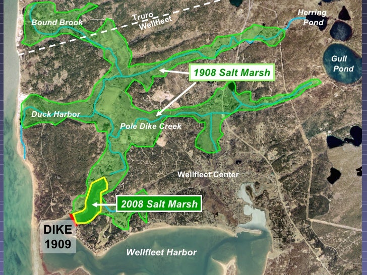 Herring River Restoration Project