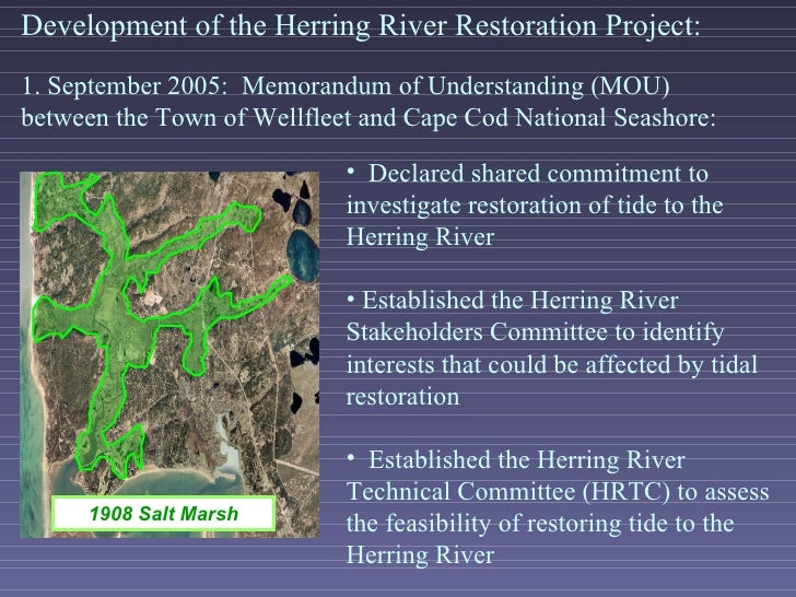 Herring River Restoration Project