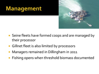    Seine fleets have formed coops and are managed by
    their processor
   Gillnet fleet is also limited by processors
   Managers remained in Dillingham in 2011
   Fishing opens when threshold biomass documented
 