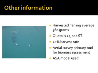    Harvested herring average
    380 grams
   Quota is 24,000 ST
   20% harvest rate
   Aerial survey primary tool
    for biomass assessment
   ASA model used
 