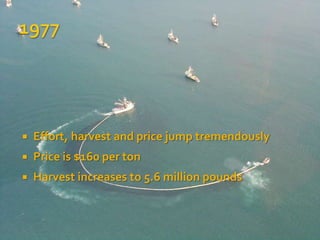    Effort, harvest and price jump tremendously
   Price is $160 per ton
   Harvest increases to 5.6 million pounds
 