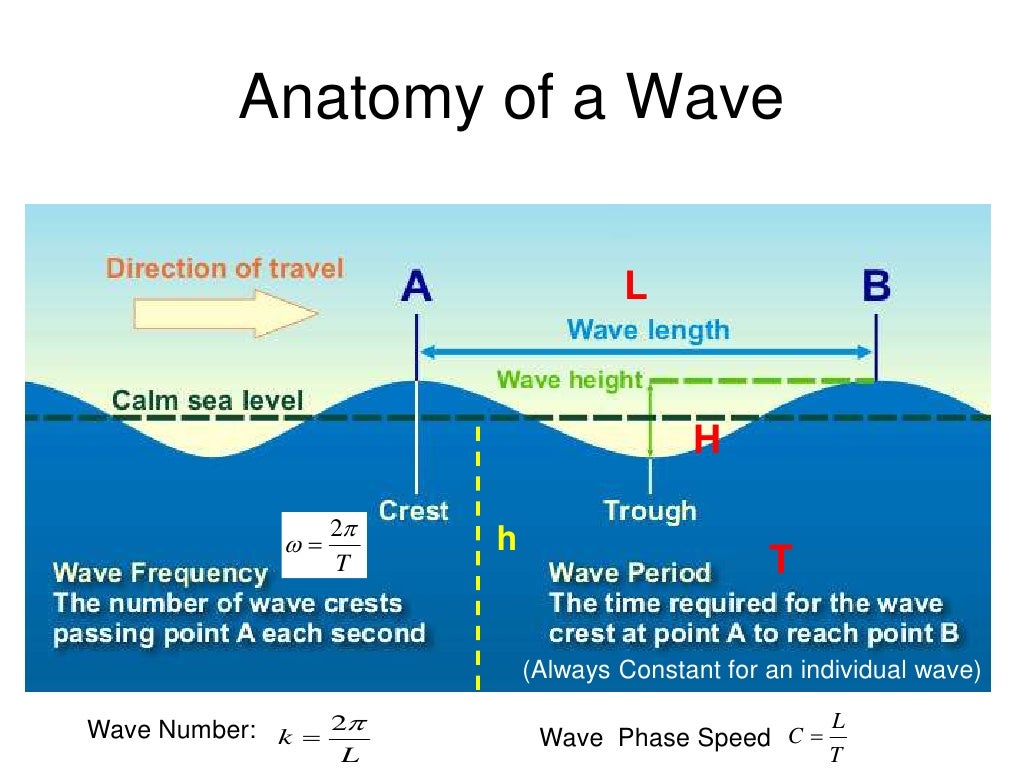 Anatomy of a Wave L Anatomy of a Wave L