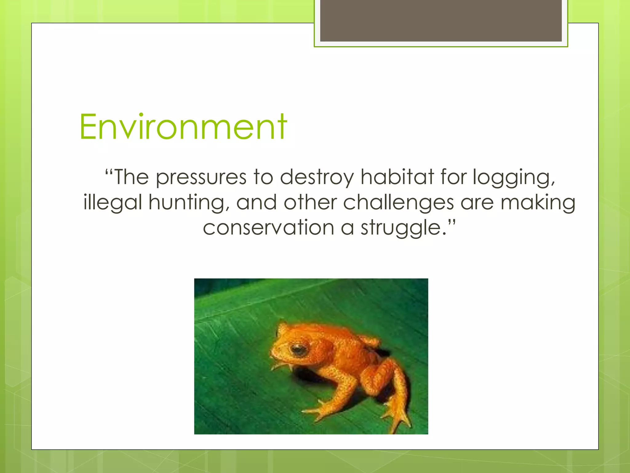 Environment 
“The pressures to destroy habitat for logging, illegal hunting, and other challenges are making conservation a struggle.”  