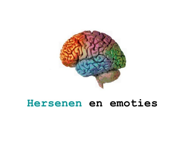 Hersenen En Emoties