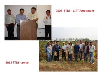 WAXY CASSAVA AGREEMENTS AT CIAT