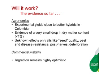 WAXY CASSAVA AGREEMENTS AT CIAT
