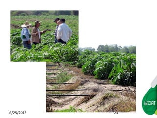 WAXY CASSAVA AGREEMENTS AT CIAT